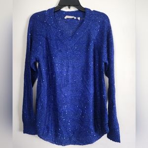 soft surroundings V Neck Sweater Sparkle Shimmer Size Small